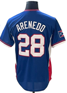 Camiseta del Clásico Mundial de Béisbol 2026 del Equipo Nacional de Béisbol de Puerto Rico, con el nombre y número de Nolan Arenado, Edwin Díaz, <span class=keywords><strong>Maldonado</strong></span>, cosida, para softbol - Product Image 3
