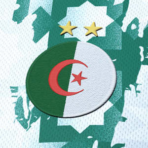 Custom 2024 Algeria <b>Soccer</b> Jerseys CHAIBI AOUAR FEGHOULI GOUIRI MAHREZ Player Fans National Training Football Shirt - Product Image 4