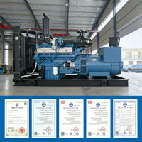 Générateur diesel ouvert 60KW 75KVA, prix usine bas, matériau en cuivre pur, durable, AC en cuivre pur, d'occasion, 50HZ/60HZ