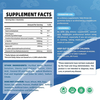 Gummies Pré-Entraînement Personnalisées à la Pastèque et au Stévia, Créatine en Vrac, Multivitamines, Gummies de Créatine Monohydrate pour Muscles et Énergie