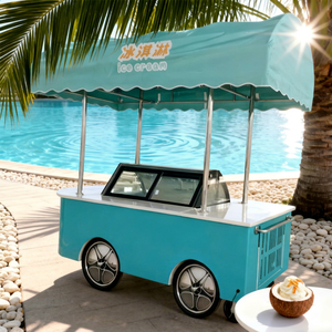 Chariot de vente ambulante de glaces et de sucettes glacées pour l'extérieur, modèle 2025, à vendre, congélateur à gelato italien, vélo - Product Image 1