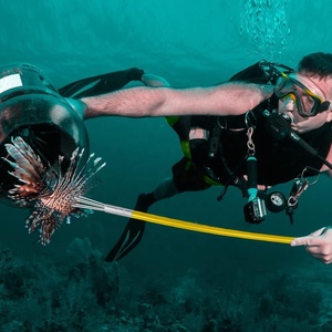 Poste de <span class=keywords><strong>pesca</strong></span> <span class=keywords><strong>submarina</strong></span> de fibra de vidrio para poste de buceo lanza 2 piezas Sling Pole M6 Prong Barb paralyzer Tips & Travel Bag - Product Image 5