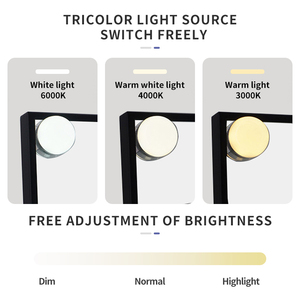 Wholesale Adjustable Brightness Custom Desktop White Led Lights <b>Makeup</b> Mirror Vanity With Bulb Mirror - Product Image 6