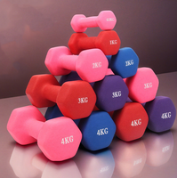 Ensemble d'haltères hexagonales en fonte légères et colorées - Poids de fitness antidérapants pour la maison et la salle de sport