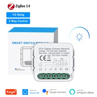 Actuador inalámbrico Alexa Alice DIY Wifi domótica AC luz interruptor inteligente Tuya atenuador de pared