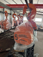 Paranco a Catena Manuale VT Tipo 1 con Capacità di 2200 Libbre (1 Tonnellata), Gancio Singolo per Sollevamento Pesante