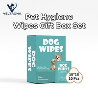 Lingettes pour animaux de compagnie écologiques, douces et durables, emballées individuellement, lingettes humides jetables XL, pour chiots, chatons, voyages, nettoyage à domicile