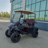 Voiturette de golf électrique pour le tourisme en sites touristiques, la visite de propriétés immobilières, la patrouille et l'utilisation tout-terrain, batterie 48V 100Ah, autonomie 80-100 km