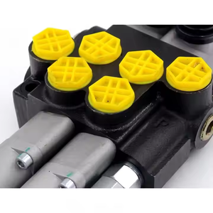 P40-G12-2OT vanne de sélection manuelle à 6 ports P40-G12-2OT vanne hydraulique: marque privée, OEM et fabrication sur mesure - Product Image 6