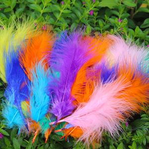 Plumes de marabout de dinde blanches, violettes et noires de la meilleure qualité, en guirlande, pour la confection de costumes - Product Image 3