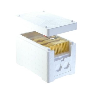 Nueva Caja <span class=keywords><strong>de</strong></span> Plástico para la Cría <span class=keywords><strong>de</strong></span> Abejas Reinas y Mini Colmena - Product Image 2
