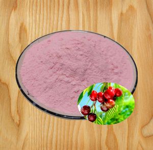 Extracto Natural de Acerola en Polvo, Vitamina C, Extracto de Acerola 25% VC - Product Image 3