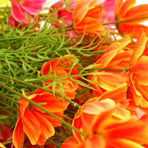 Fleurs artificielles Cosmos, haute simulation, en plastique, pour décorations de mariage, usage intérieur et extérieur - Product Image 4