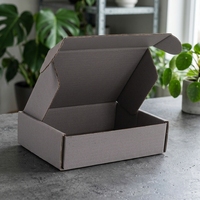 Caja de Embalaje de Cartón Corrugado Personalizable con Forma de Avión para Envíos Express