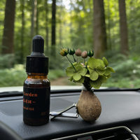 Diffuseur de parfum écologique aux fleurs naturelles préservées, désodorisant aux fleurs séchées, mini bouquet, diffuseur d'huiles essentielles, cadeaux