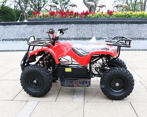 2025 nouvelle Offre Spéciale <span class=keywords><strong>800W</strong></span>-1000W électrique 4 roues ATV Smart <span class=keywords><strong>Quad</strong></span> vélo pour enfants et adultes enfant jouet pour Application extérieure - Product Image 6