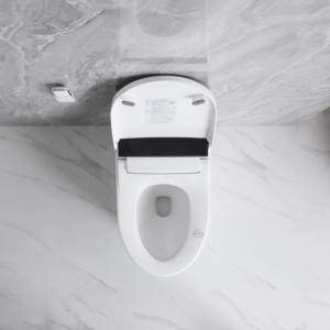 MWD WATERMARK SAA Certificación <span class=keywords><strong>Smart</strong></span> Toilet Factory Australia Premium Cerámica Inodoro inteligente al por mayor - Product Image 5