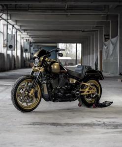 Motos d'occasion <span class=keywords><strong>Harley</strong></span>-Davidson Night Rod Sportster Series - Moteur V-Twin 975cc refroidi par liquide, <span class=keywords><strong>moto</strong></span> de performance à essence - Product Image 2
