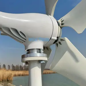 10 Jaar Fabriek Gemaakt In China Huis Windturbines Polen Voorraad Gratis Belasting 12V/24V/48V 1000W 1kw Alternatieve Energiegeneratoren