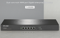 TP-Link Routeur VPN d'entreprise à haut débit TL-ER3200G CPU double cœur Mémoire DDRIII 512 Mo Instruments électriques Gigabit sécurisés