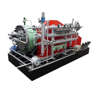 Completely Oil-Free Ar Gas Compressor High Automation Flow 79Nm3/h Argon Diaphragm Compressor Made In China