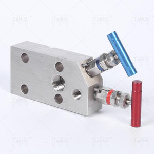 Collecteur à deux vannes à bride coplanaire personnalisable avec vannes de régulation à filetage interne - Product Image 4