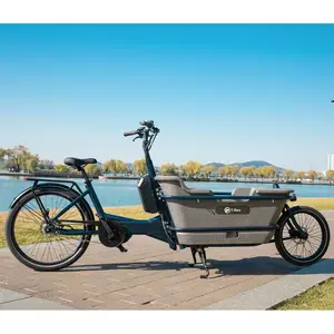 La bicicleta de carga eléctrica más vendida, bicicleta familiar de 2 Ruedas holandesa, bicicleta de 2 ruedas