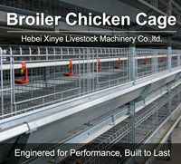 Cage à poulets automatique galvanisée de type H pour 60-80 poulets de chair ou pondeuses – Équipement d'élevage avicole