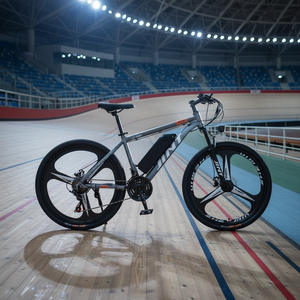 Bicicleta de Montaña Personalizable con Motor Central de Aluminio, Asistencia Eléctrica de Litio, Ultraligera, Directo de Fábrica, LD02-36 - Product Image 4