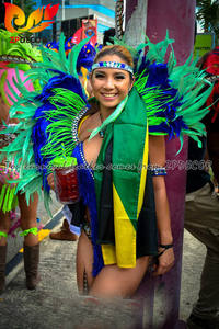 Zpdécor — plumes de Biot <span class=keywords><strong>d</strong></span>'<span class=keywords><strong>oie</strong></span>, vert Olive teint, vente en gros <span class=keywords><strong>d</strong></span>'usine, bon marché, pour <span class=keywords><strong>d</strong></span>écorations à thème de carnaval, - Product Image 6