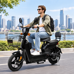 Bicicleta Eléctrica Ligera Popular de 48V 500W para Dos Personas con Cesta Delantera en Varios Colores para Viajes Diarios - Product Image 1