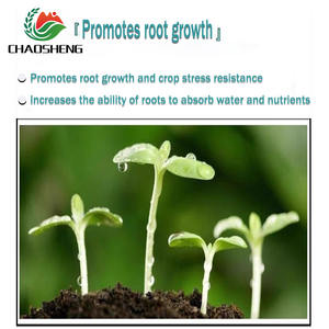 Produto De Microorganismo De Grau Agrícola De Alta Qualidade Azotobacter Powder Baixa Toxicidade Fornecedor Profissional De Alta Eficiência - Product Image 4