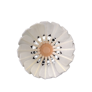 Volant de badminton haute vitesse, vol stable - Product Image 1