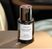 Vente en gros de jeux d'huiles pour diffuseur d'aromathérapie 120ml Bâton diffuseur de roseau naturel pour huile parfumée pour parfum de voiture