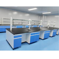 Mesa de Laboratorio de Acero y Madera con Estructura en C, Resistente a Ácidos y Álcalis, Directo de Fábrica, para Hospital, Clínica, Sala de Pruebas, con Certificación CE