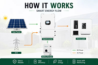 Sistema de Almacenamiento de Energía Solar de Iones de Litio MPPT Profesional de 5-20kW con Salida Ajustable de 110-250V para Montaje en Techo Residencial