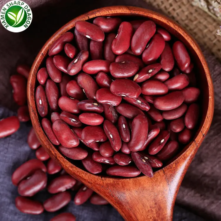 Export cheap import price specification frozen red kidney beans for sale