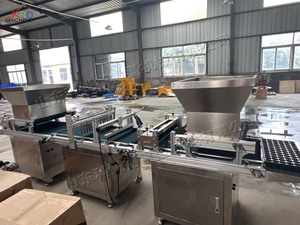 Semoir agricole multifonctionnel de haute qualité à aspiration par aiguilles pour semis en plateau - Product Image 2