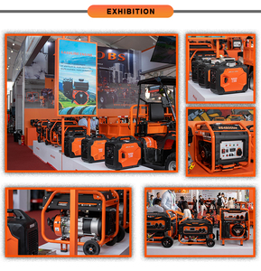 Nhiên Liệu Kép 3.2kw/3.5KW Im Lặng Máy Phát Điện Biến Tần Propane/LPG Xăng Máy Phát Điện Với 4-Động Cơ Đột Quỵ 50Hz Tần Số - Product Image 6