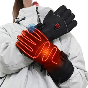 Calentador de manos térmico para invierno, guantes eléctricos con calefacción, batería de 5V, impermeables, para coche, esquí, motocicleta, deportes - Product Image 1