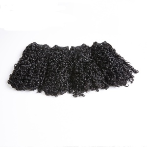 ผมแท้แบบ Double Drawn Remy Hair Funmi Hair Pixie Curl แบบเป็นมัด ขนาด 10-18 นิ้ว ลอน Pixel Curl สีดำธรรมชาติ - Product Image 4