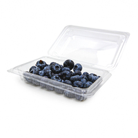 Boîte alimentaire jetable biodégradable en PET, type clamshell, pour fruits, personnalisable par l'usine LIXIN, la préférée des magasins de fruits.