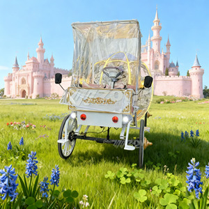 Calèche lumineuse Cendrillon avec lampe vintage pour visites nocturnes panoramiques et séances photo en extérieur - Product Image 4