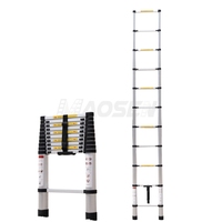 Échelle en aluminium Échelle télescopique Échelle extensible Échelle pliante escamotable