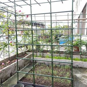 Gardening Climbing Vine Flower Stand Wear-resistant <b>Plastic</b>-coated Steel Pipe Plant Vegetable Support <b>Rod</b> Bracket Wholesale - Product Image 5