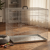 Cage pour chien en fer pliable, cage en fil métallique solide, simple, écologique, emballage en boîte