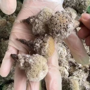 Merci <span class=keywords><strong>di</strong></span> montagna tibetane autentica neve fiori secchi <span class=keywords><strong>di</strong></span> loto lavorazione <span class=keywords><strong>di</strong></span> specialità locali all'ingrosso Dropshipping - Product Image 2