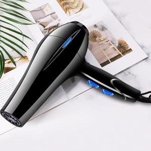 Sèche-cheveux professionnel pour hôtel <span class=keywords><strong>Hoyel</strong></span> Wall Mount Light Blow Brush Sèche-cheveux naturels en vente avec technologie ionique - Product Image 3