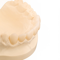 Modèle dentaire en zircone Ecolab le mieux noté pour la pratique des étudiants en dentisterie et la restauration métal-céramique, conforme ISO 9001