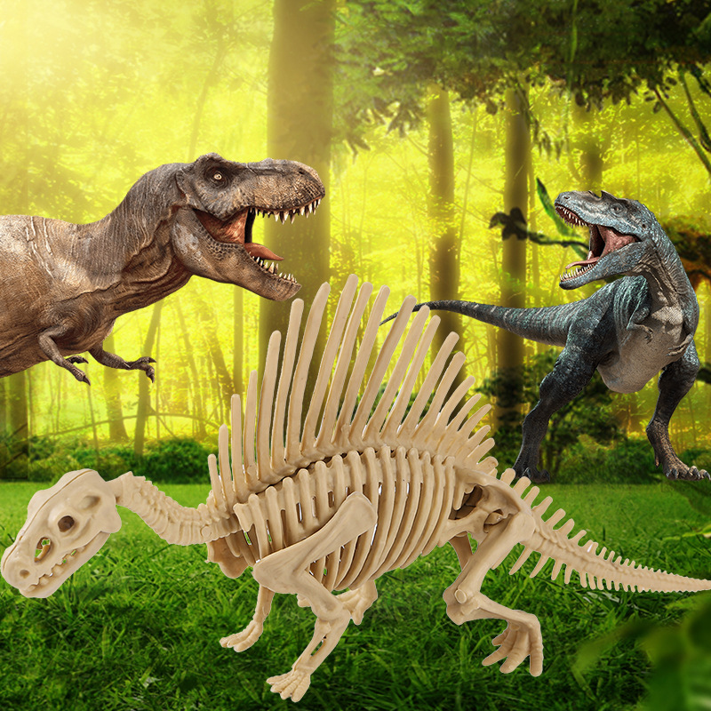 Squelette Spinosaurus + manuel